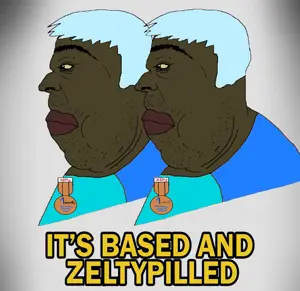 itsbasedandzeltypilled.png
