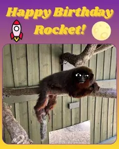 ClipboardImage (23).png