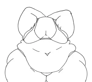 holding belly, belly, big belly, fat, obese