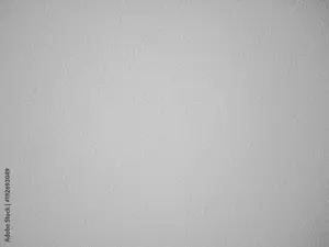 image-monochrome (5).png