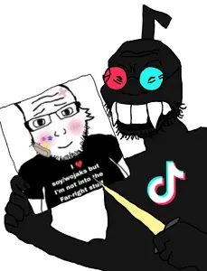 'tok user mindset2.png