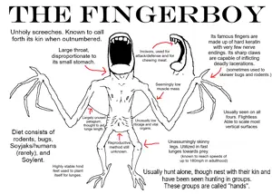 fingerboyanatomy.png