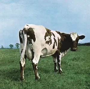 Pink-Floyd_Atom-Heart-Mother.jpg