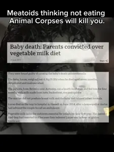 lv_0_20260315155207.mp4