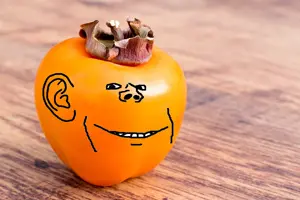 persijak.png