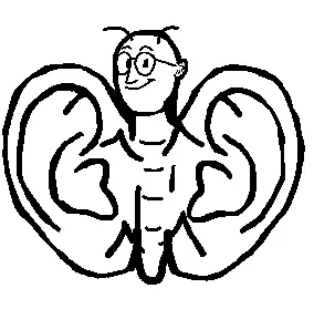 butterfly.png