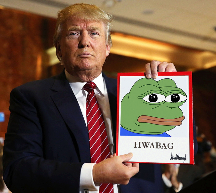 donald trump, pepe, amphibian, animal, blonde hair, blue shirt, frog, green skin, hair, he will always be a gem