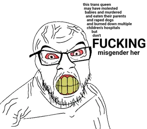 DONTFUCKINGMISGENDERHERYOUSTUPIDFUCKINGCHUD.gif