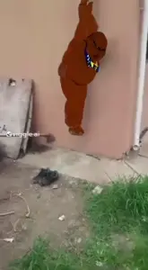 173455 - SoyBooru.mp4