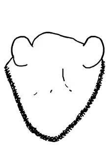 impjak back alt head 4.png