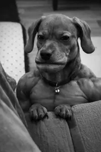 ChatGPT Image Mar 22, 2026, 04_40_58 AM.png