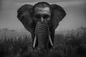 elephant.png