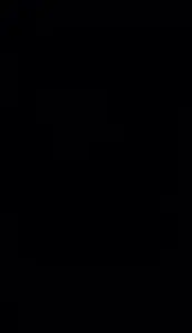 lv_7598872416286199045_20260324034427.mp4