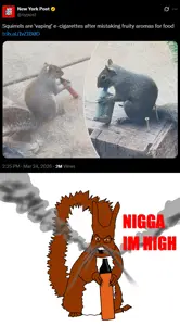 nigga vape.png