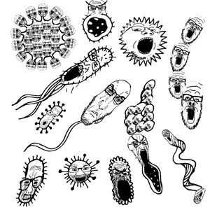 soy microbes2.jpg