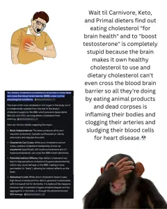 Wait til Carnivore, Keto, and Primal dieters find out eating cholesterol fo_20260325_172104_0000.png