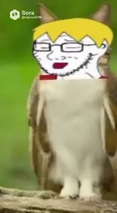 s4_9jF2vRcMO46ws.mp4