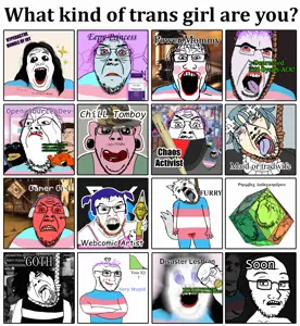 What kind of trans girl are you.png