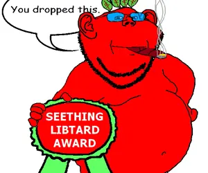 Seething libtard.png