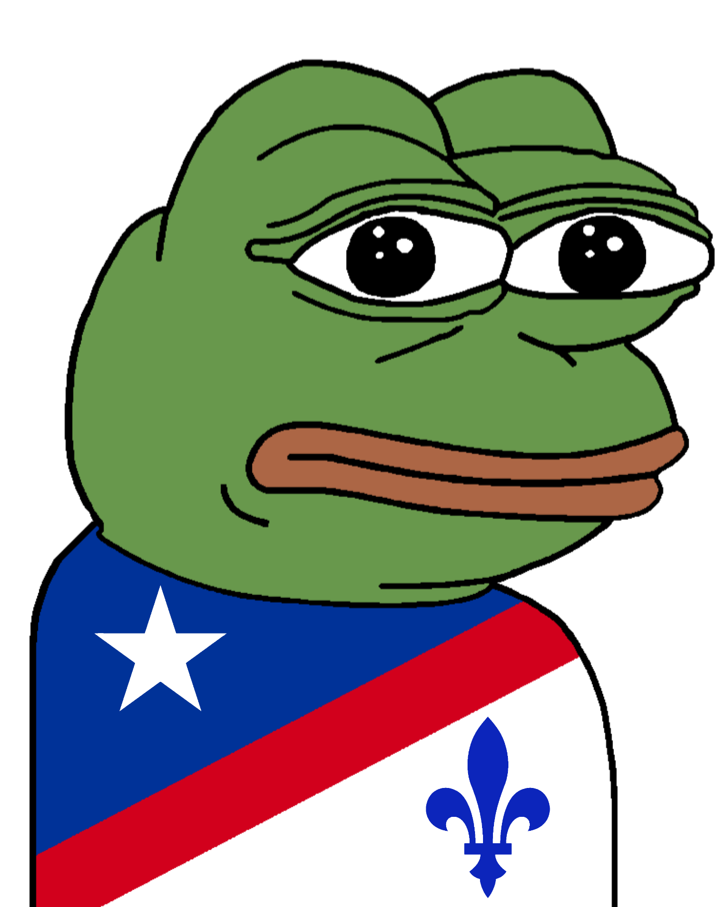 pepe, amphibian, animal, closed mouth, clothes, flag, fleur-de-lys, france, french, frog