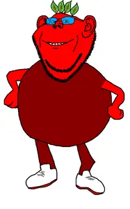 broot mn and m - Copy.png