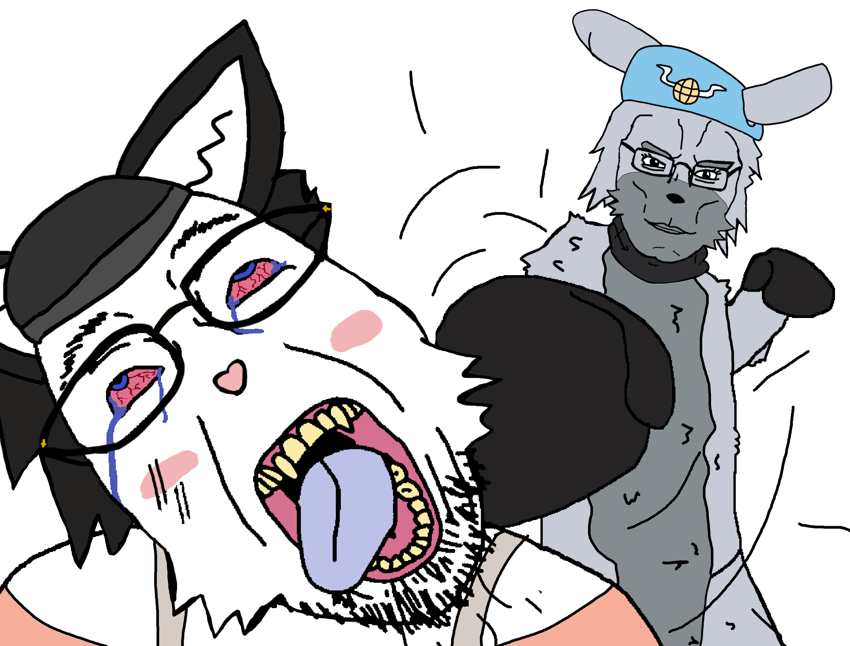 bernd, chudjak, chudjak front, beret, black fur, black hair, bloodshot eyes, blue eyes, blue tongue, boxing
