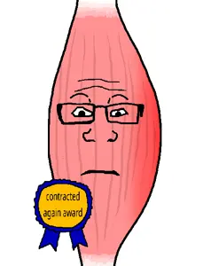 contractedmuscle.png