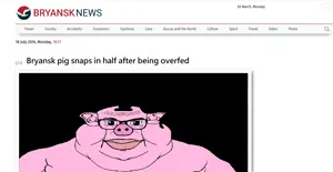 bryanskpig.png