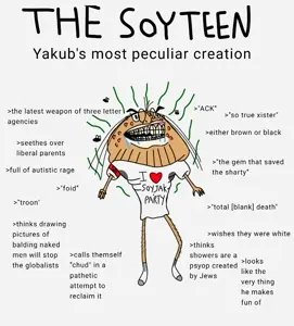 thesoyteen.jpg