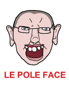 Pole_face 2.png