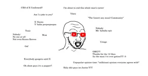 196.jpg