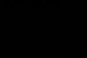 1735419444170z-1.mp4