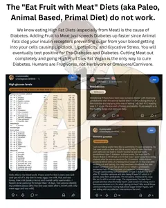 The Eat Fruit with Meat Diets do not work._20260404_161613_0000.png