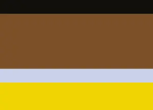 Intelligient Young Flag.png