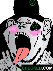 CHECKED.png