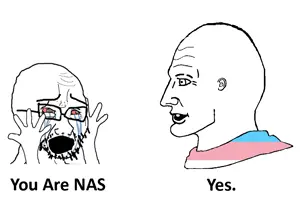 vlodson yes chad nas.png