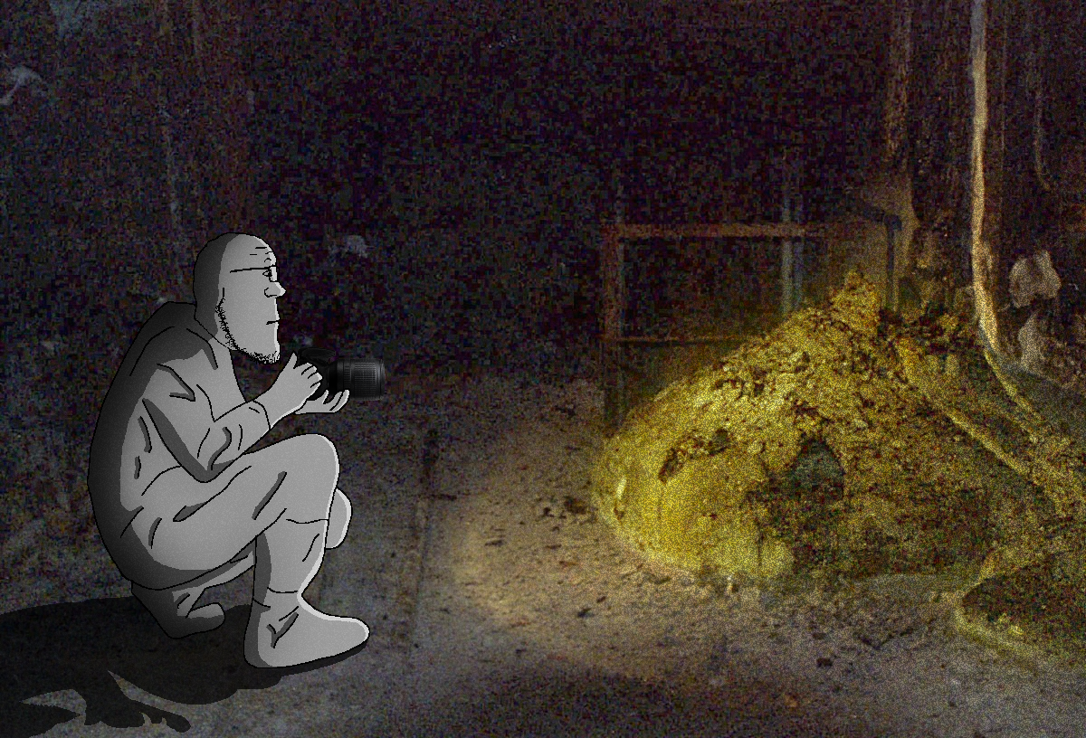 greenfag, markiplier soyjak, neutralplier, 1soyjak, bald, brimstone, camera, chernobyl, cleavage, closed mouth