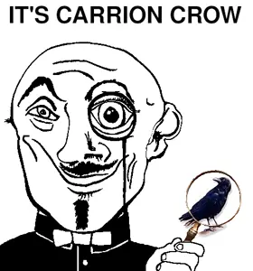 carrioncrow.gif