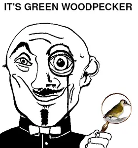green woodpecker.gif