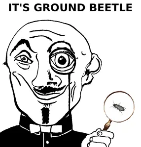 ground_beetle.png
