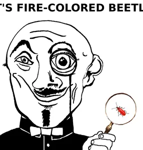 fire-colored_beetle.png