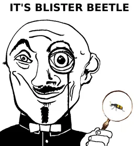 blister_beetle.png