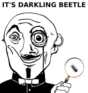 darkling_beetle.png