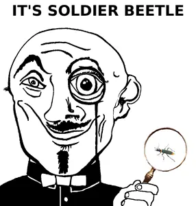 soldier_beetle.png