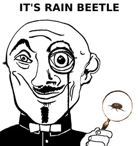 rain_beetle.png