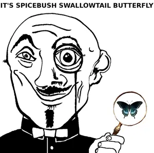 spicebush_swallowtail_butterfly.png