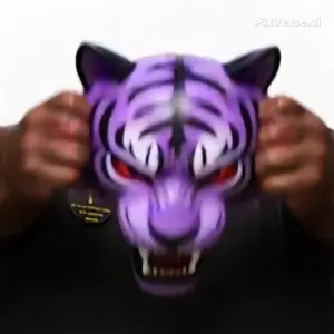 PixVerse_V6_Image_Text_360P_have_him_put_on_a_.mp4