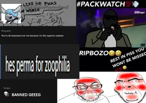stupidfurzoogeeeeeeeeeegsadgfsgfdhs.png