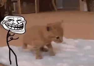 trollface-kitty.gif