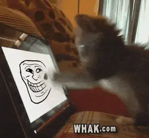 lol_cat_kitten_kitty_cute_playing_with_ipad_tablet_PC_troll_on_screen.gif